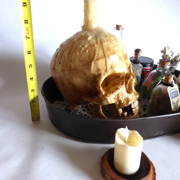 NEW HALLOWEEN GOTHIC HORROR TABLE CENTERPIECE APOTHECARY PROP ODDITY SKULL TRAY - Picture 3 of 15